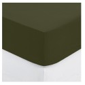 Drap housse coton uni Couleur moderne