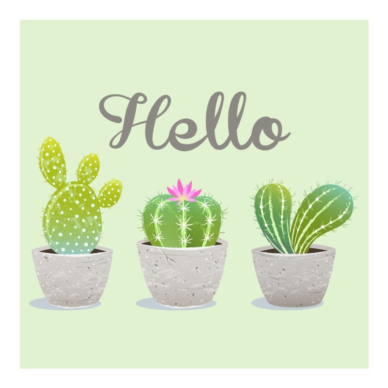 20 Serviettes en Papier Hello Cactus - Décoration Table Anniversaire