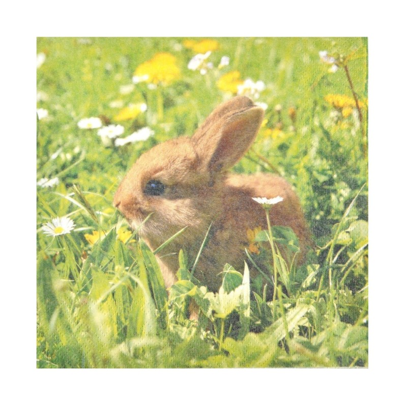 20 Serviettes en Papier Lapin 33x33 cm | Déco Pâques & Anniversaire