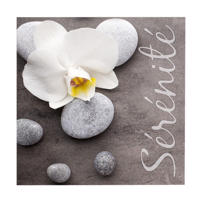 Lot de 20 Serviettes en Papier Sérénité - Douceur & Qualité