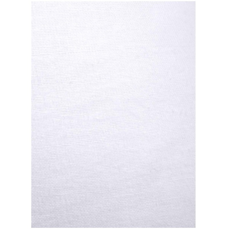 Taie protege oreiller 50 x 70 cm Carlyne anti acarien