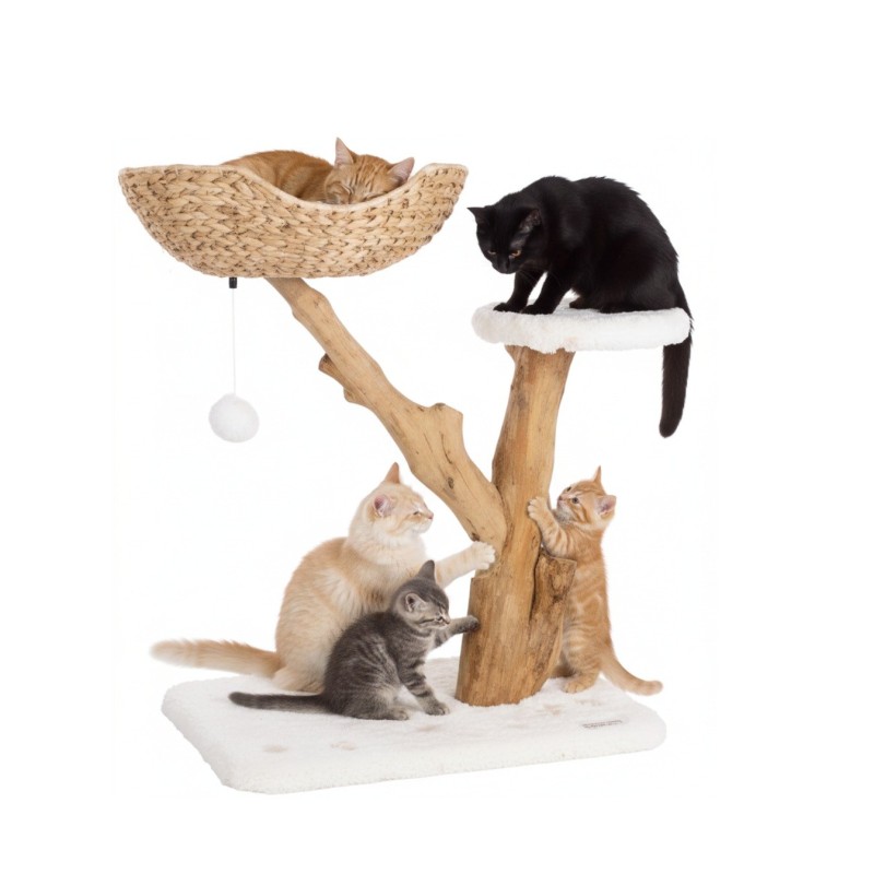 Arbre à griffer design avec panier