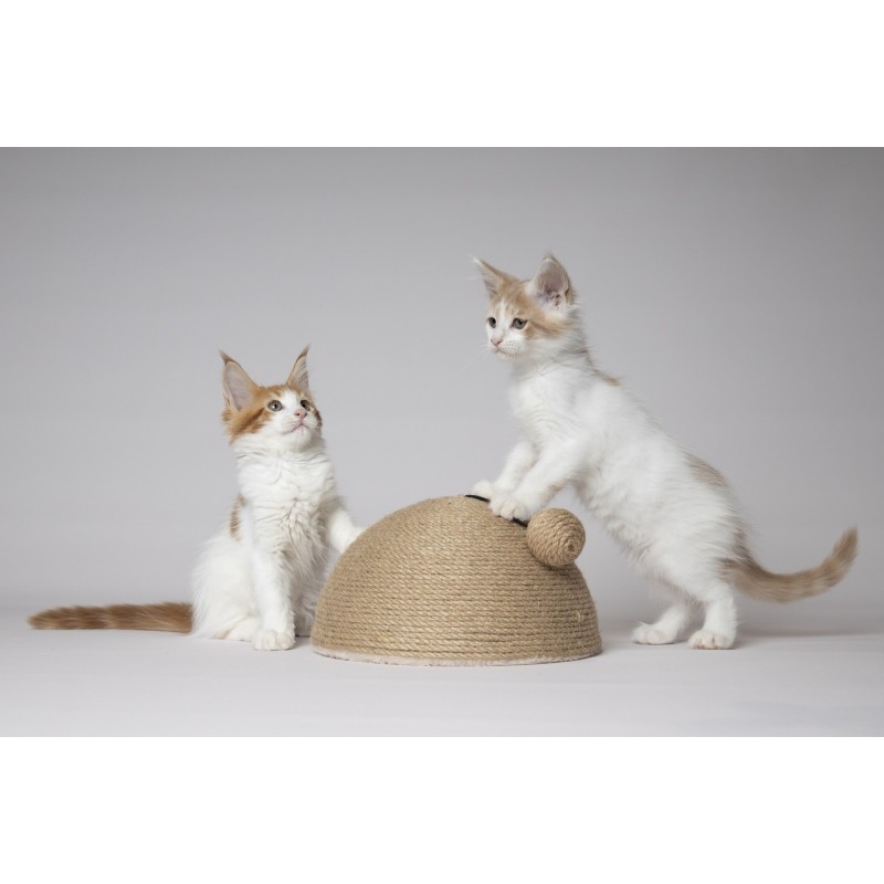 Jouet à Griffer pour Chat Coupole en Jute avec Balle Sonore