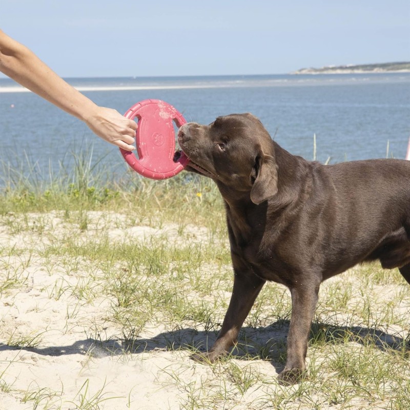 Frisbee de jeu pour chien 20 cm