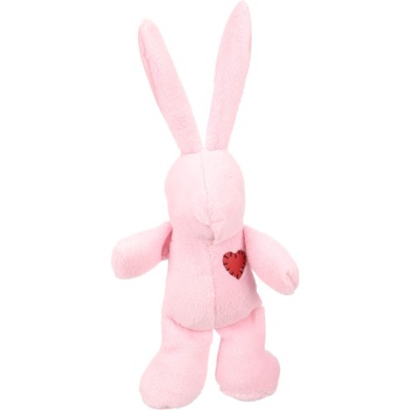 Jeu en peluche Lapin avec un coeur