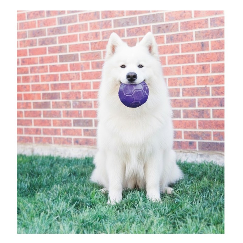 Jeu Kong Flexball Ballon de football pour chien Pourpre