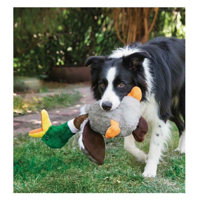 Jeu Kong pour chien Honkers Canard