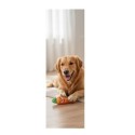 Jeu pour chien Fruco l'orange sonore