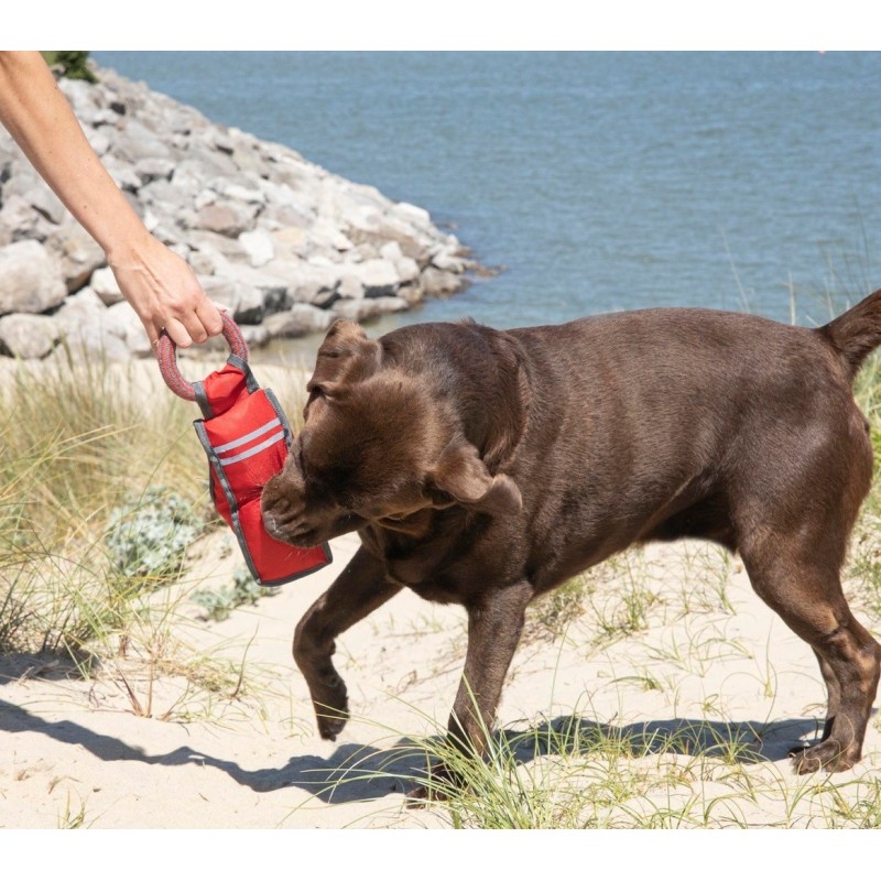 Jouet fitness pour chien