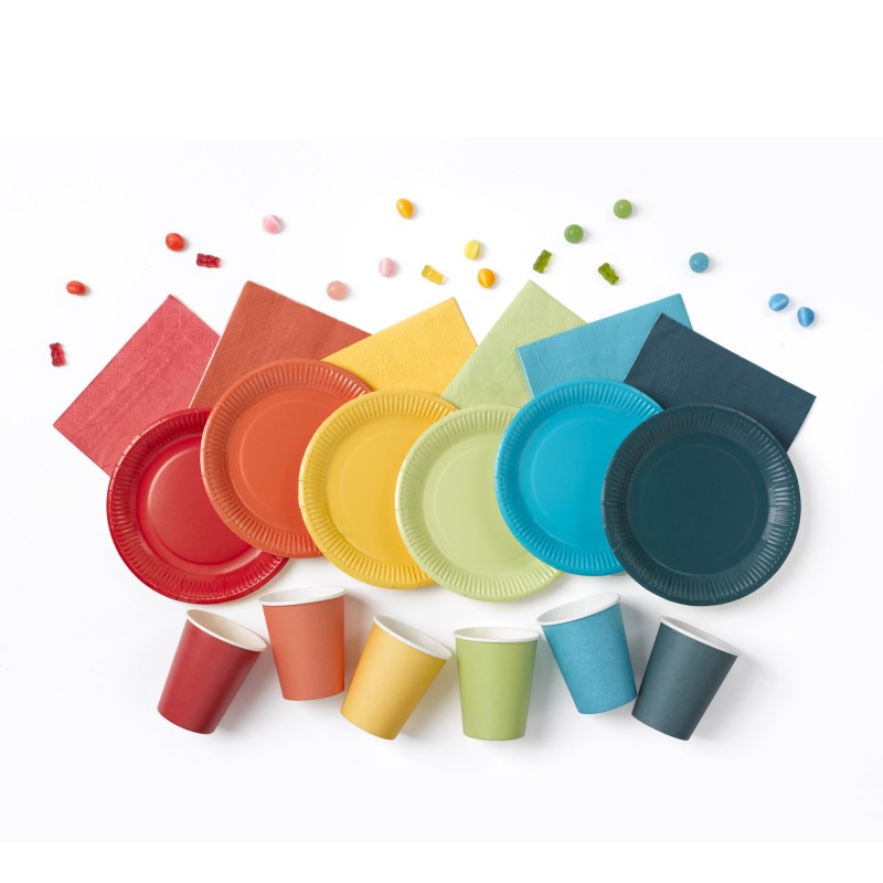 20 assiettes en carton 23 cm Unies terracotta