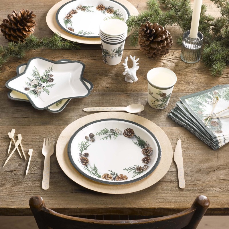 6 assiettes en carton Pommes de pin