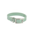Collier chien silicone menthe S