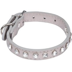 Collier chien strass