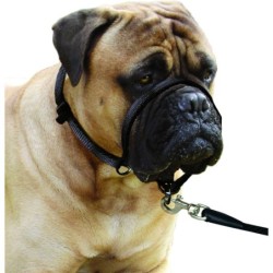 Collier Educatif Easy anti traction L