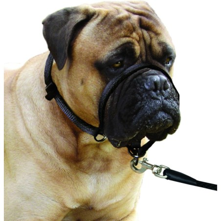 Collier Educatif Easy anti traction L