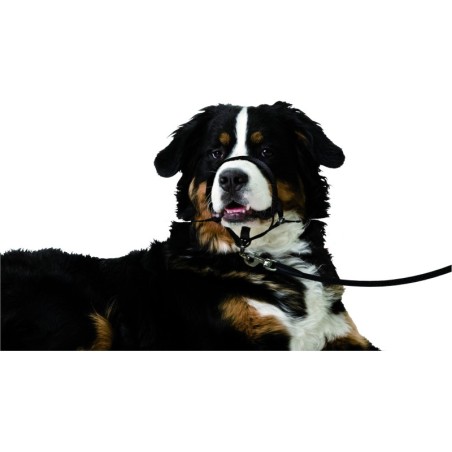 Collier Educatif Easy anti traction XL