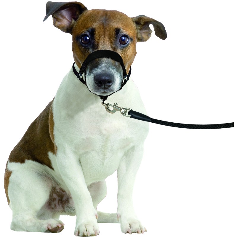 Collier Educatif Easy anti traction XS