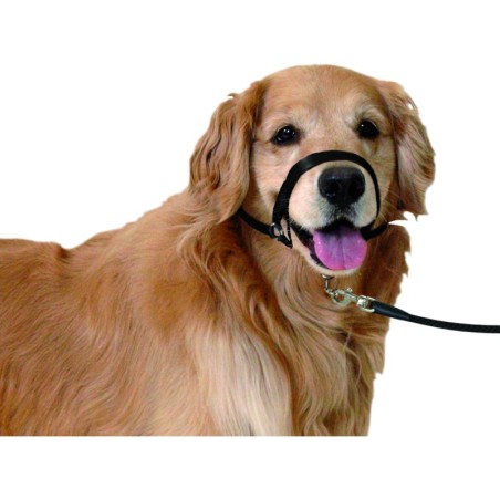 Collier Educatif Easy anti traction M