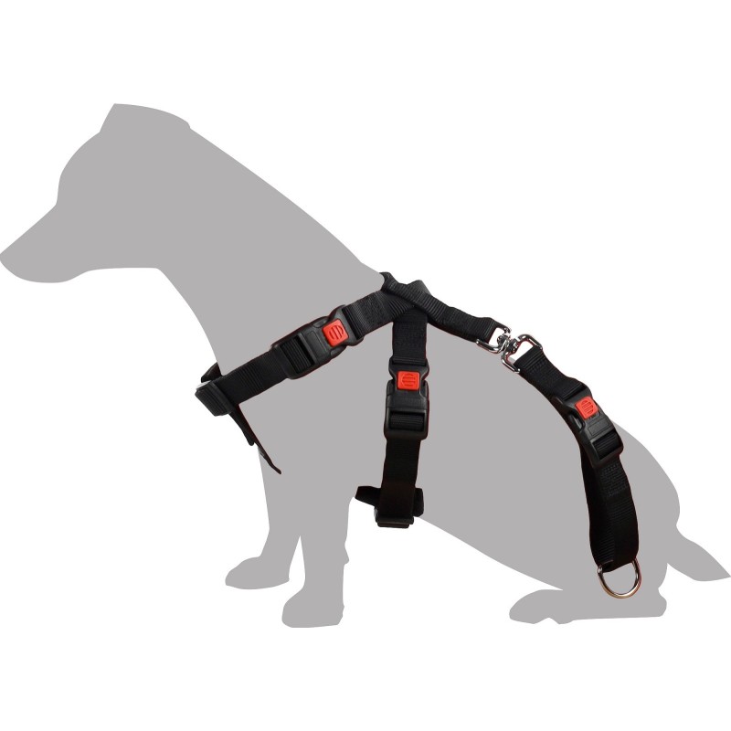 Harnais de sécurité pour voiture Duma Noir S