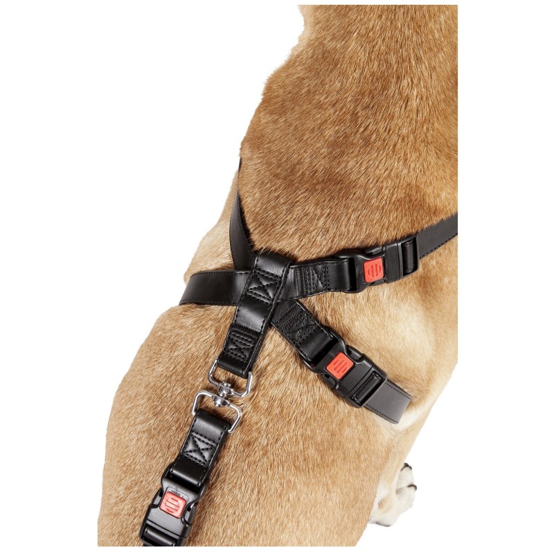 Harnais de sécurité pour voiture Duma Noir XL