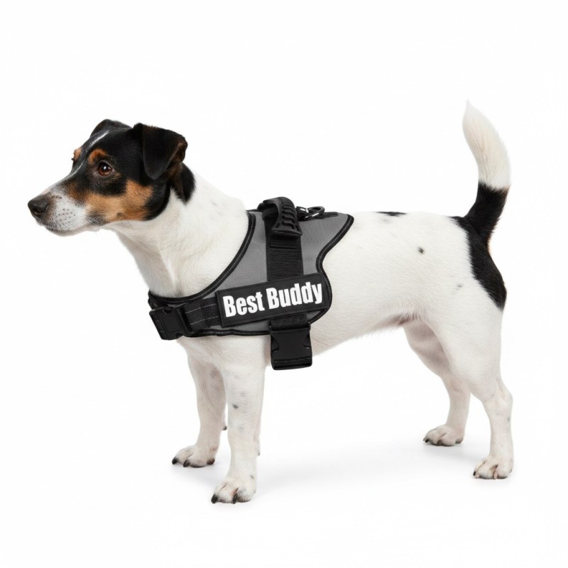 Harnais réglable pour chien Pluto noir M