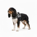 Harnais réglable pour chien Pluto noir XXXS