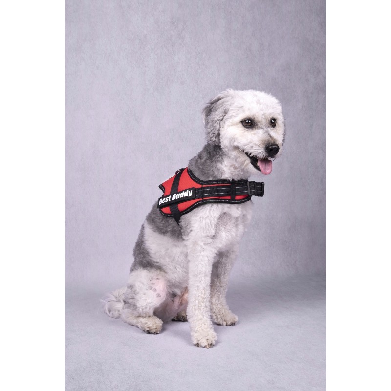 Harnais réglable pour chien Pluto rouge XXL