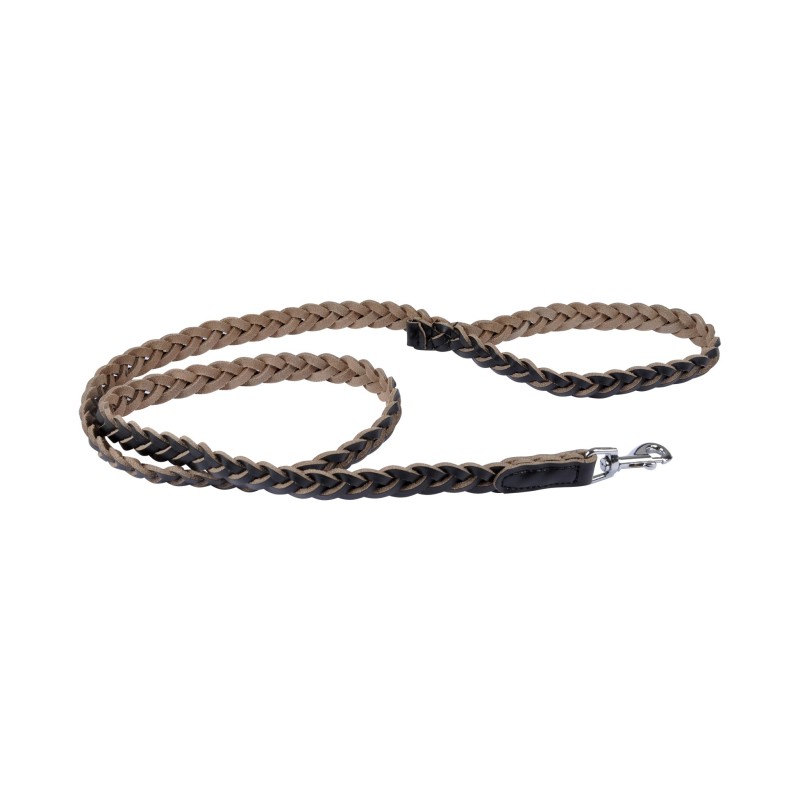 Laisse pour Chien Tressée Cuir Synthétique Résistant 120 cm