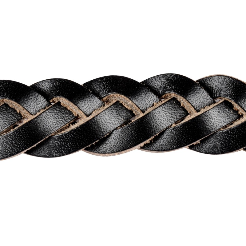 Laisse pour Chien Tressée Cuir Synthétique Résistant 120 cm