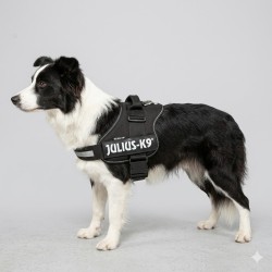 Harnais réglable pour chien Pluto vert fluo S