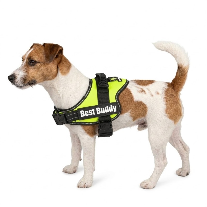 Harnais réglable pour chien Pluto vert fluo M