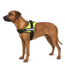 Harnais réglable pour chien Pluto vert fluo L