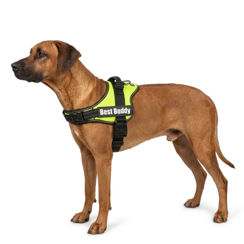 Harnais réglable pour chien Pluto vert fluo L