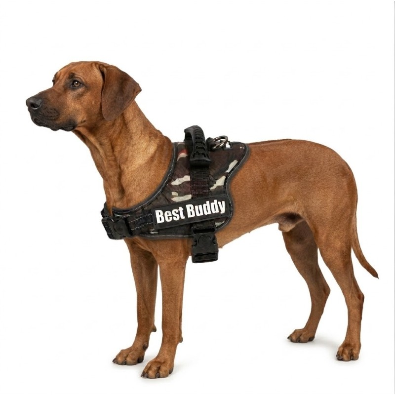 Harnais réglable pour chien Pluto vert camouflage jungle L