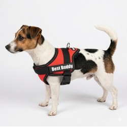 Harnais réglable pour chien Pluto rouge XXXS