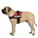 Harnais réglable pour chien Pluto rouge XL