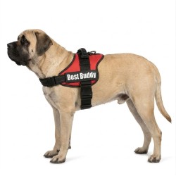 Harnais réglable pour chien Pluto rouge XL