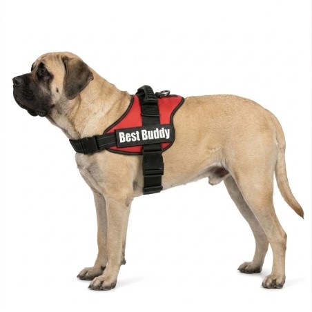 Harnais réglable pour chien Pluto rouge XL