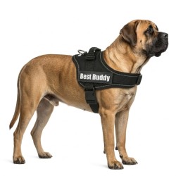 Harnais réglable pour chien Pluto noir XL