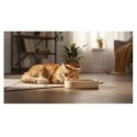 Gamelle ronde pour chat nourriture et eau 12 cm Zara beige