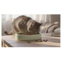 Gamelle ronde pour chat nourriture et eau 12 cm Zara vert