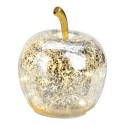 Lampe Pomme lumineuse 10 Led Argent 11 x 12 x 11 cm