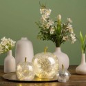 Lampe Pomme lumineuse 10 Led Argent 11 x 12 x 11 cm