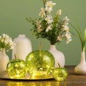 Lampe Pomme lumineuse 10 Led Vert clair 11 x 12 x 11 cm