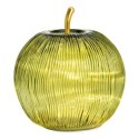 Lampe Pomme lumineuse 15 Led Vert 16x17x16cm