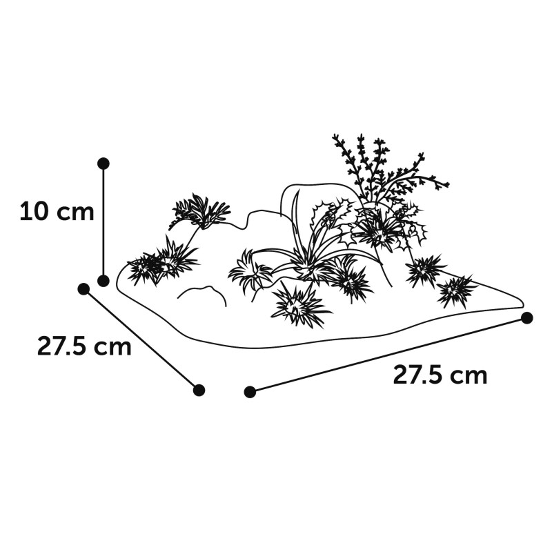 Décoration aquarium angle roches plantes colorées