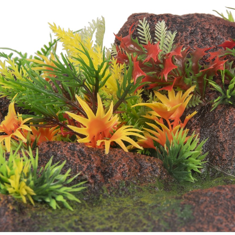 Décoration aquarium angle roches plantes colorées
