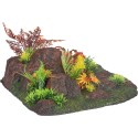 Décoration aquarium angle roches plantes colorées