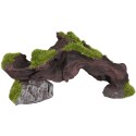Décoration aquarium racine bois avec mousse verte pont Kozma