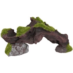 Décoration aquarium racine bois avec mousse verte pont Kozma